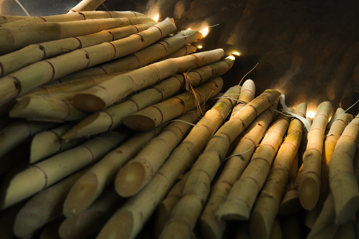 A cana é plantada e colhida em Caçapava, no interior paulista. É enviada para um depósito, para ser raspada e tratada, antes de ficar pronta para a garapa