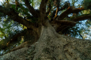Periferias no centro da crise climática: quem sofre e quem resiste