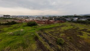 Festival em Guarulhos é mantido, apesar de questionamentos a desmatamento no Parque Cecap