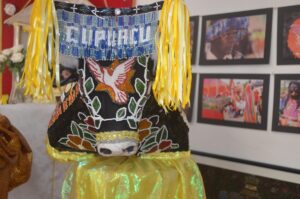 Coletivo mantém viva a cultura do Bumba-Meu-Boi na zona oeste de São Paulo